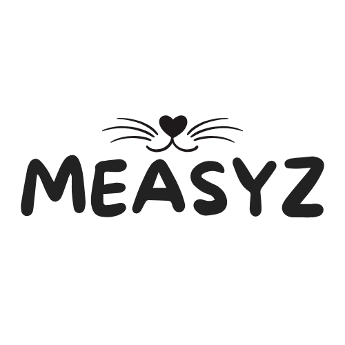 Measyz